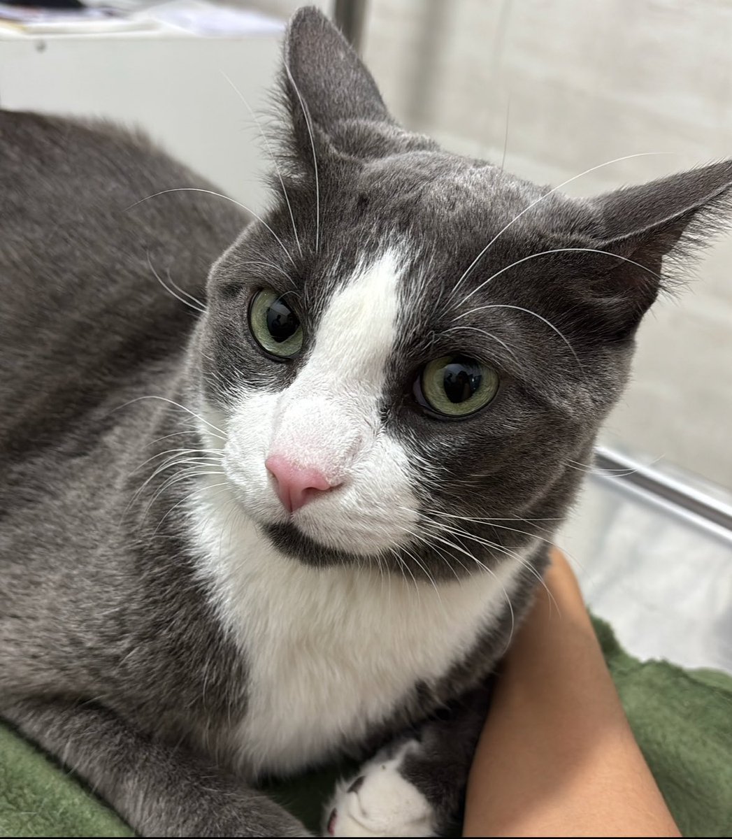 emily 🌷 tweet media