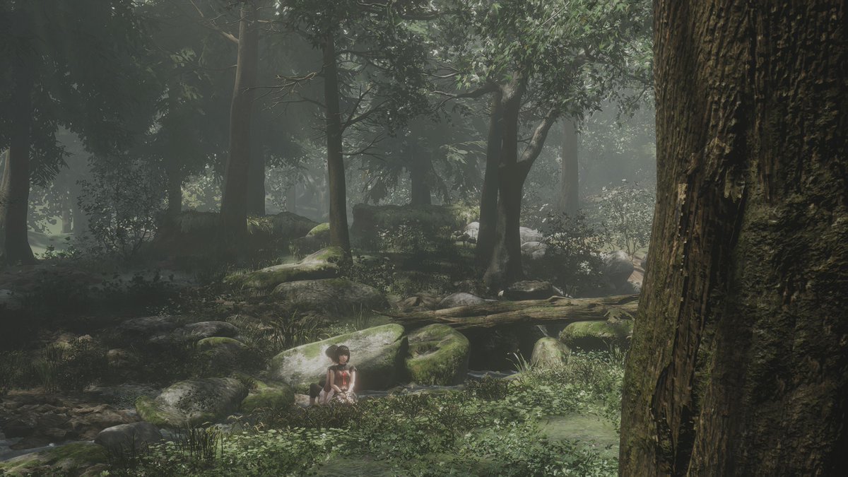 chrominius's tweet photo. it looks so pretty!! ❤🦋👻 #fatalframeremake https://t.co/J0uznvcECH