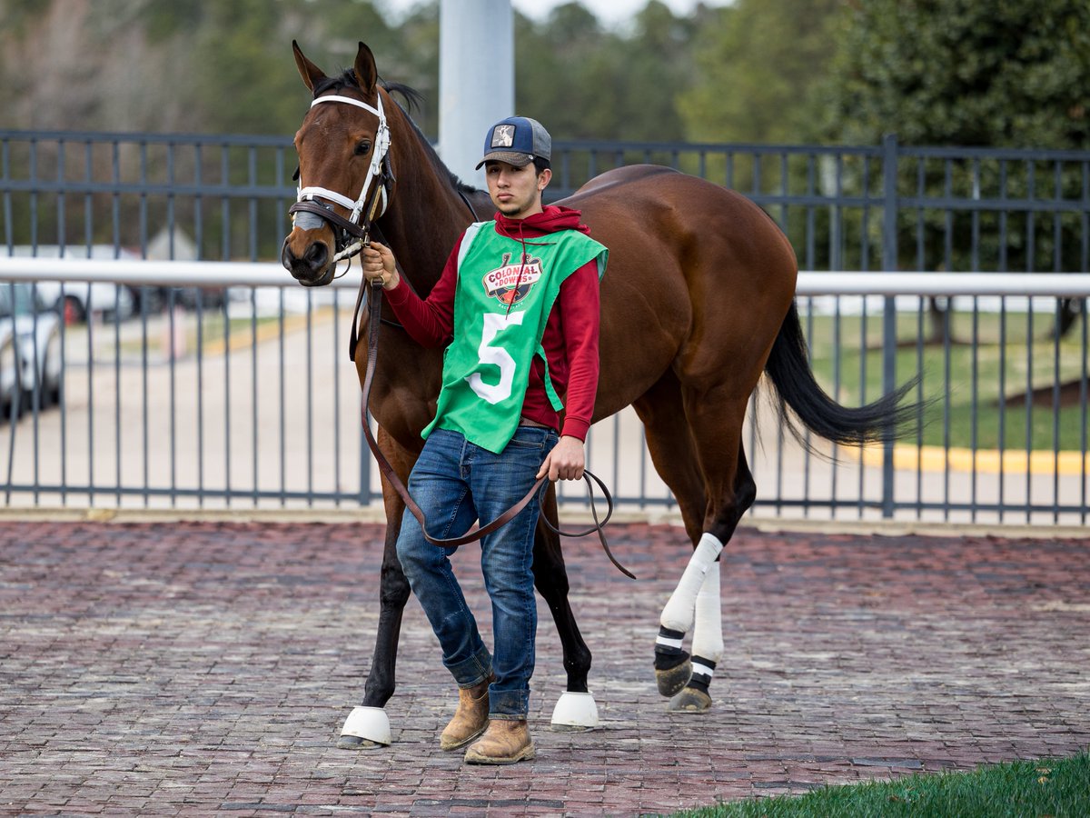 Agentes305 tweet media