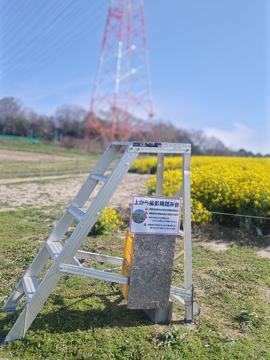 愛知牧場【公式】 tweet media