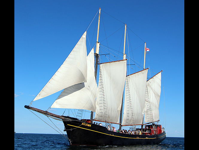 Get On My Level☁️July 31-Aug 2☁️start.gg/GOML tweet media