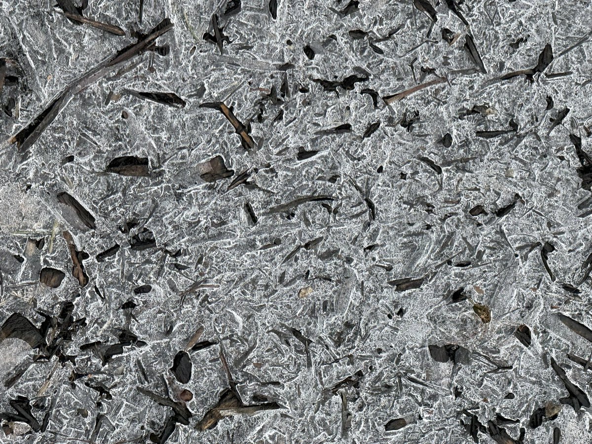 danielbeland's tweet photo. Encore de la glace 🧊 #Montreal #photos #photography #Quebec #Canada @meteomedia @weathernetwork @Monmontreal #verglas #freezingrain @MTL_Ville @Montreal https://t.co/xvHT8s4rTd