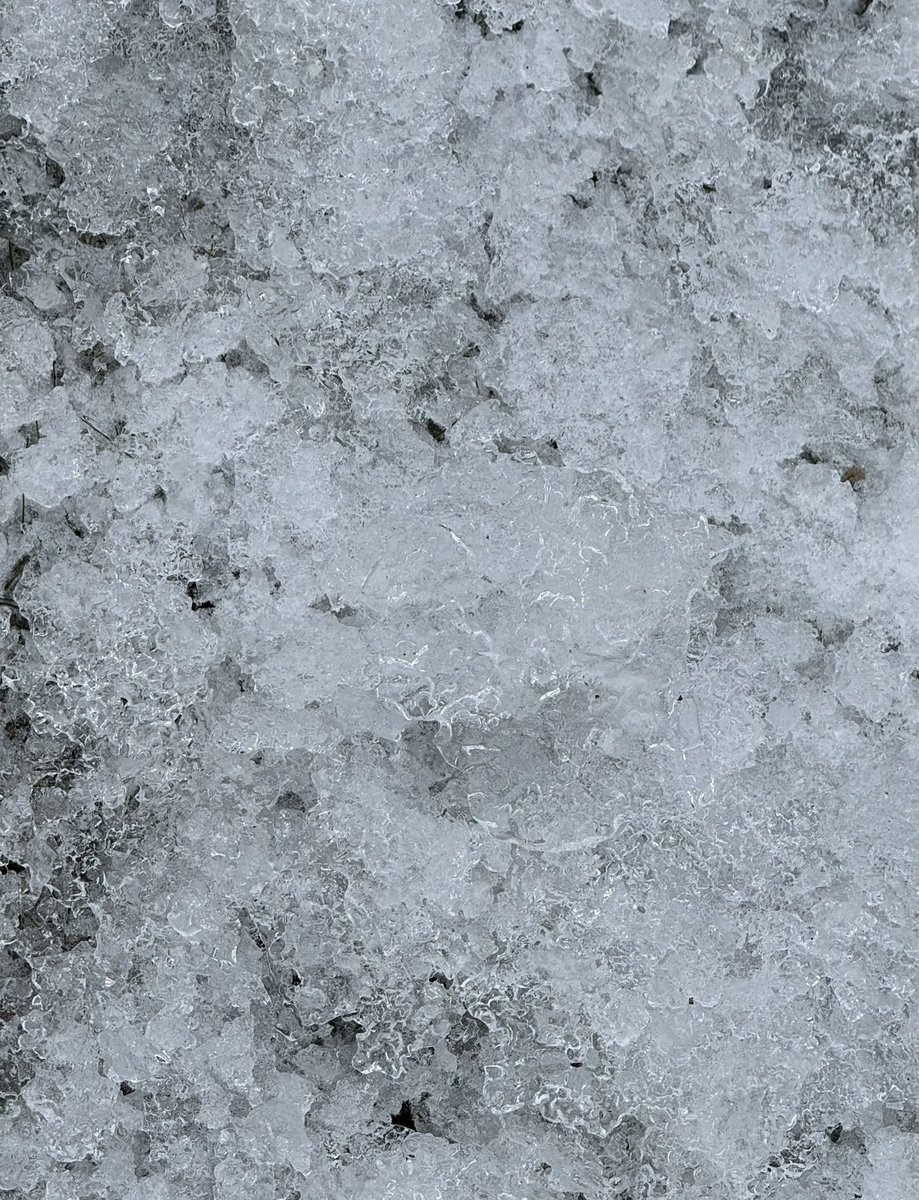 danielbeland's tweet photo. Encore de la glace 🧊 #Montreal #photos #photography #Quebec #Canada @meteomedia @weathernetwork @Monmontreal #verglas #freezingrain @MTL_Ville @Montreal https://t.co/xvHT8s4rTd