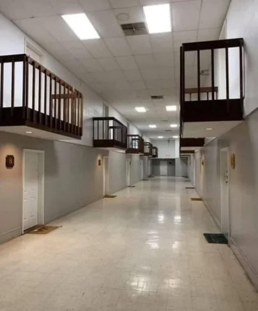 LadyValor tweet media