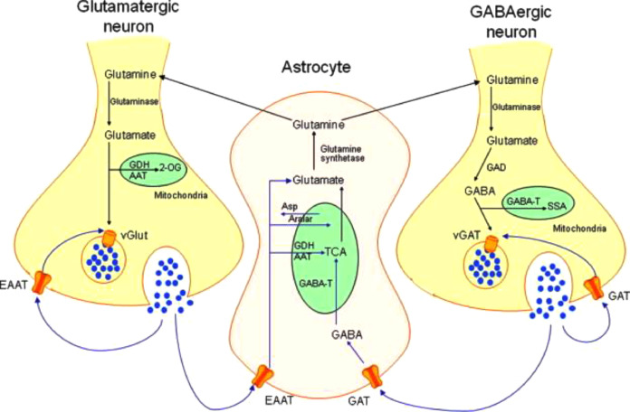 Mitopapi 🧬🕊️ tweet media
