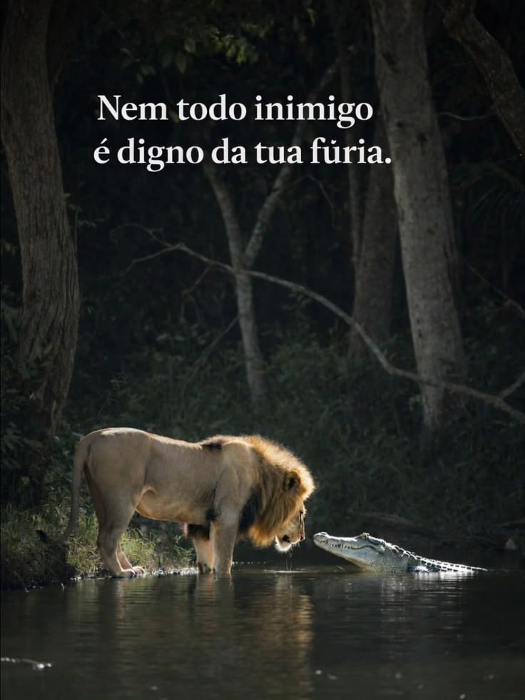 Dan Fla 👨‍👧‍👦ᶜᴿᶠ 🔴⚫ (@danield82447681) on Twitter photo 