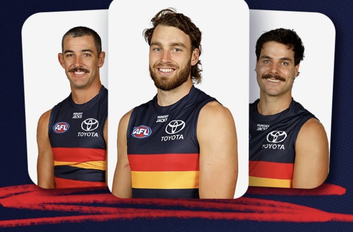 Crickettragic tweet media