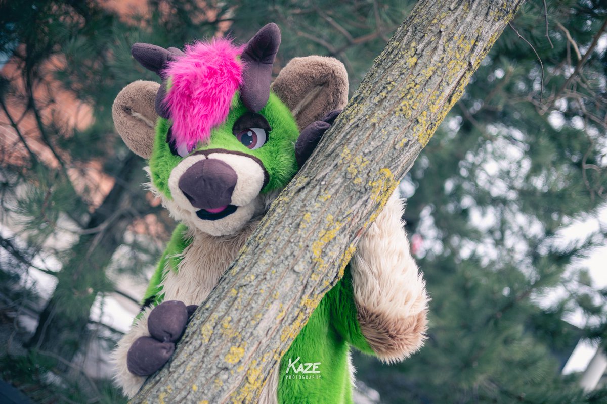 Ewan🔜 LVFC, FWA tweet media