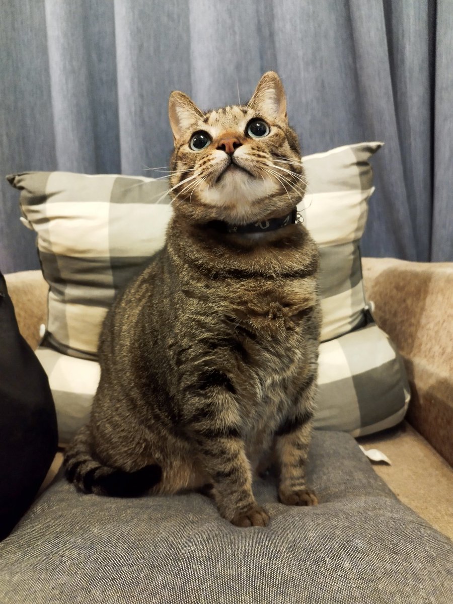 美的不明顯的姊姊 tweet media