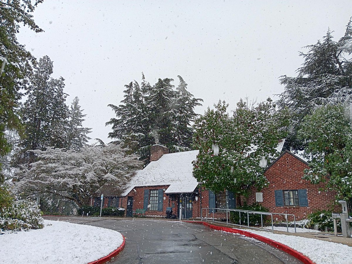 Seattle Parks tweet media