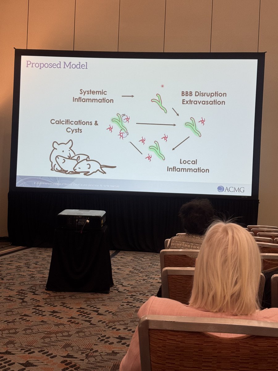 lcc_foundation_'s tweet photo. Research presented at #ACMG2026. Key findings: 33 patients from 28 families studied; new mouse model replicates human disease; early blood-brain barrier disruption may trigger inflammation; changes seen in RAS, RAP1, immune &amp; calcium signaling pathways. All possible by families. https://t.co/Q40vttk6EK
