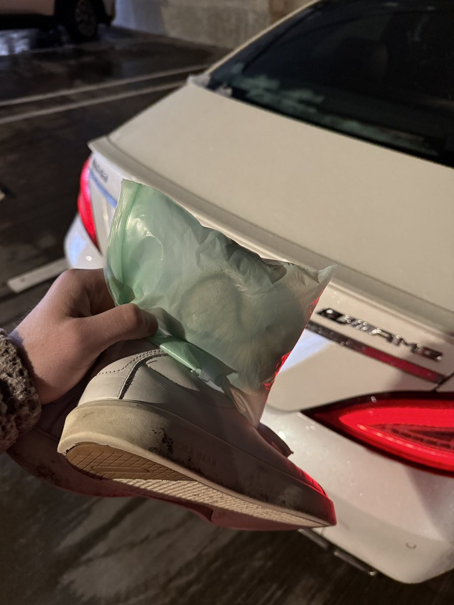 DomGodJack tweet media