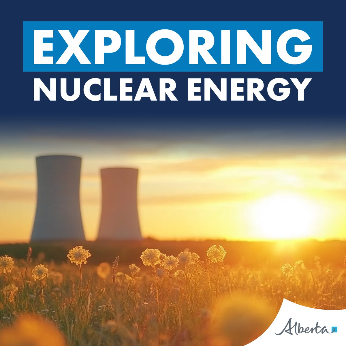 Chantelle de Jonge tweet media