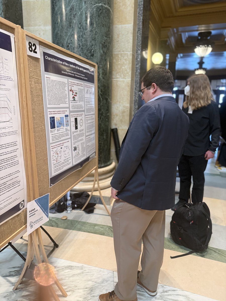 Sen. Mark Spreitzer tweet media