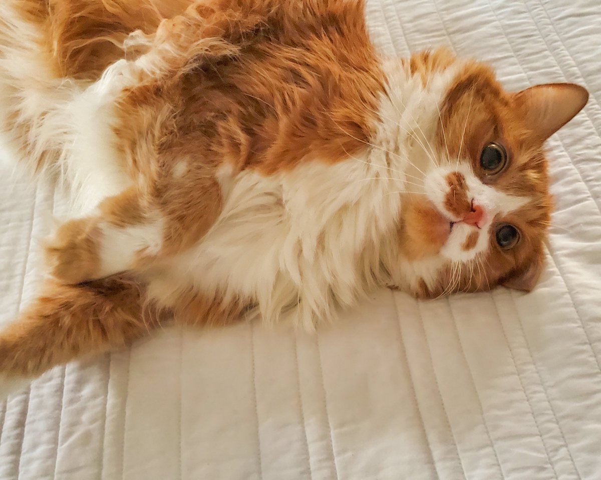 dave wagner tweet media