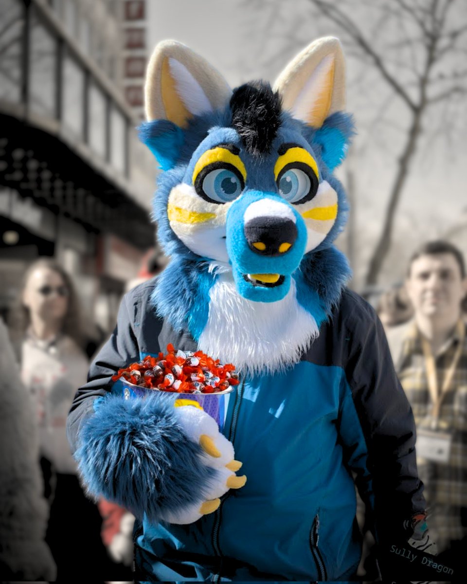 Hreko The Adventurehusky tweet media