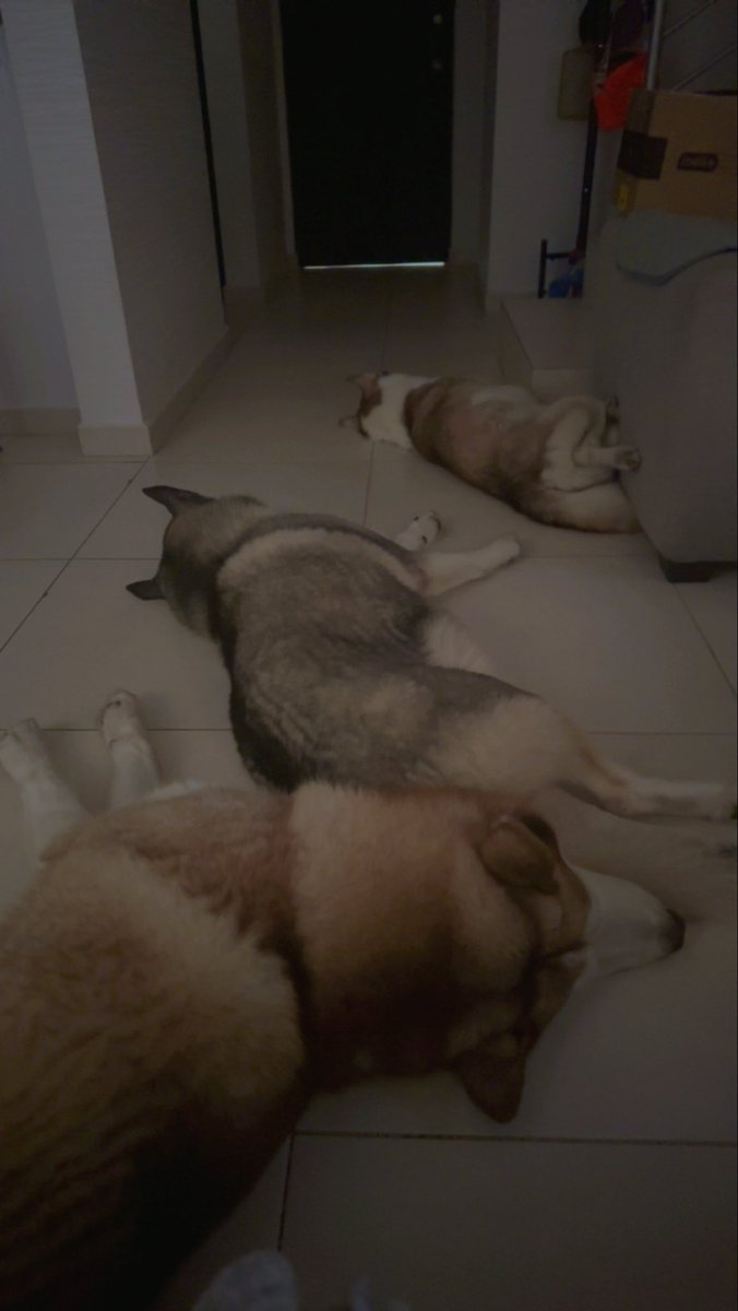 Ultravioleta. tweet media