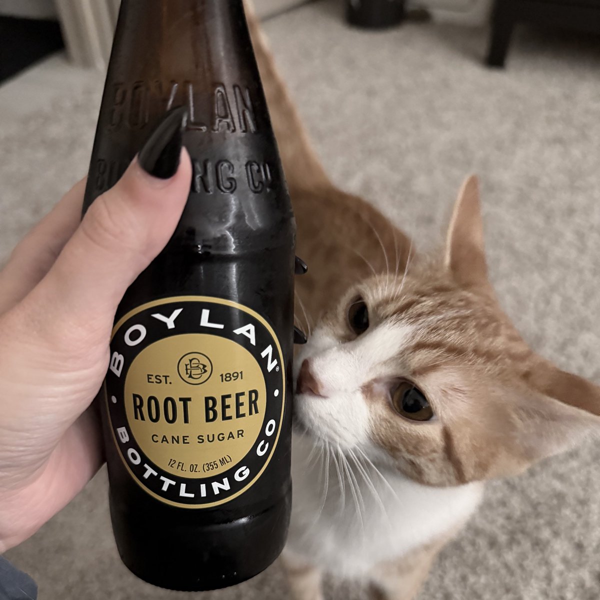 Sylent Bell 💎⛓️ tweet media