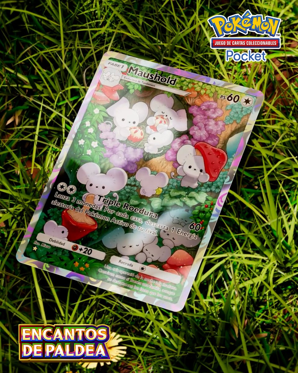 JCC Pokémon España tweet media