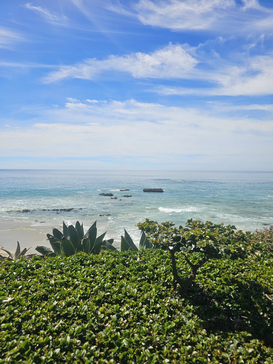 Knowledge Is Money 💰 tweet media