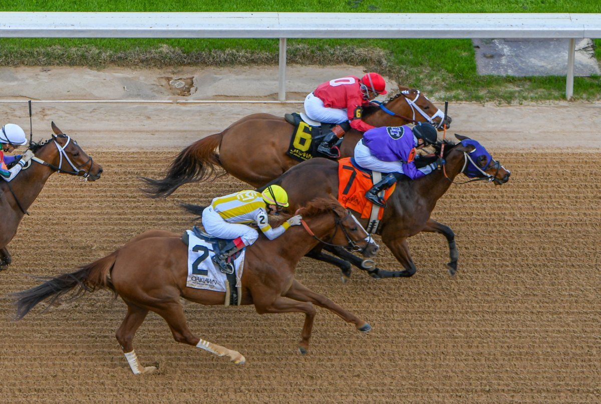 Robert Yates tweet media