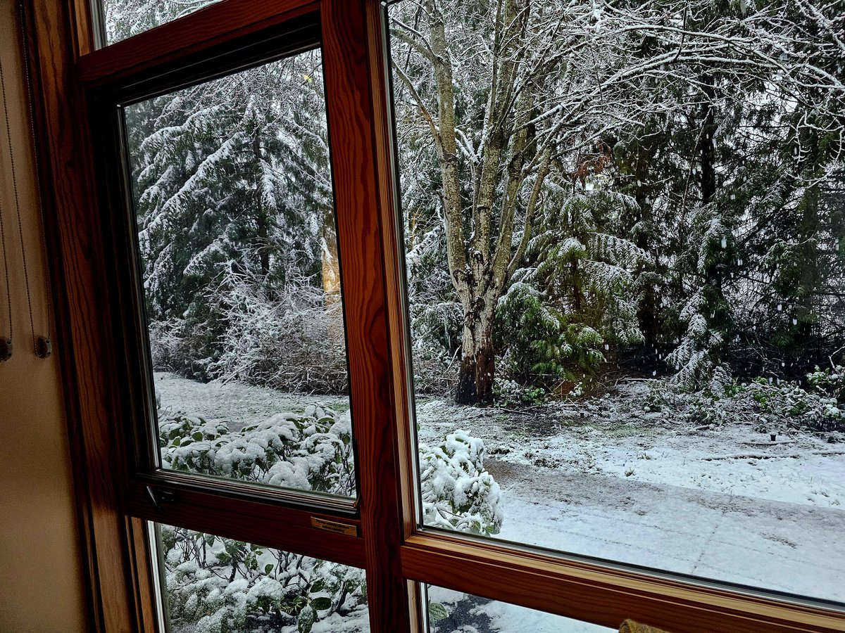 Maria Andrews tweet media