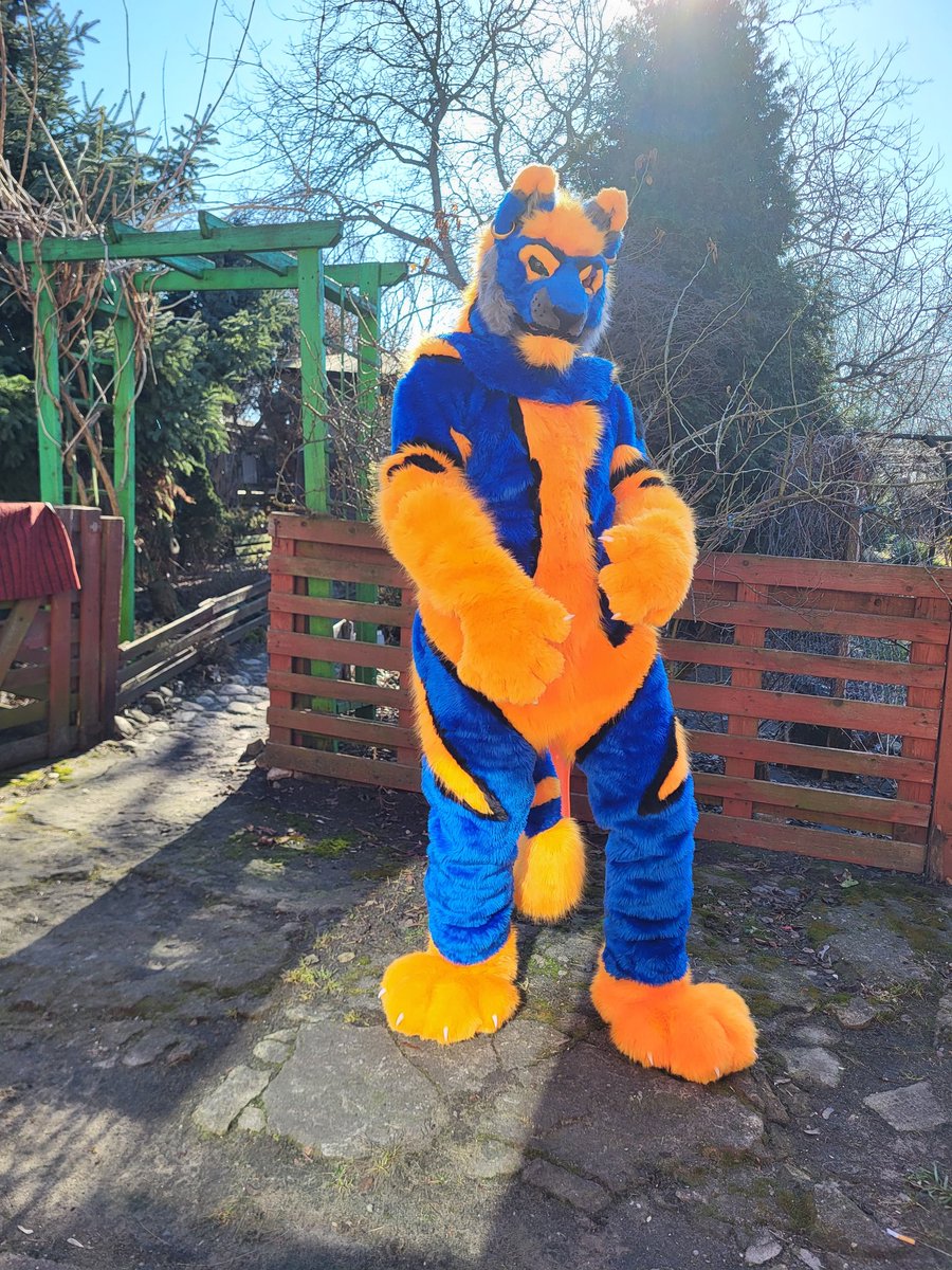 Król Skaza Grzywalski tweet media