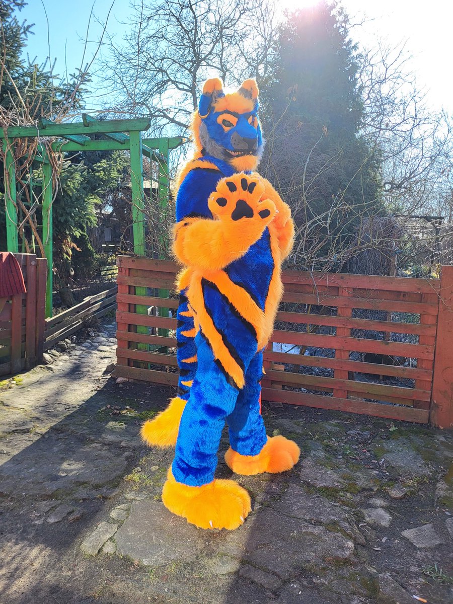 Król Skaza Grzywalski tweet media