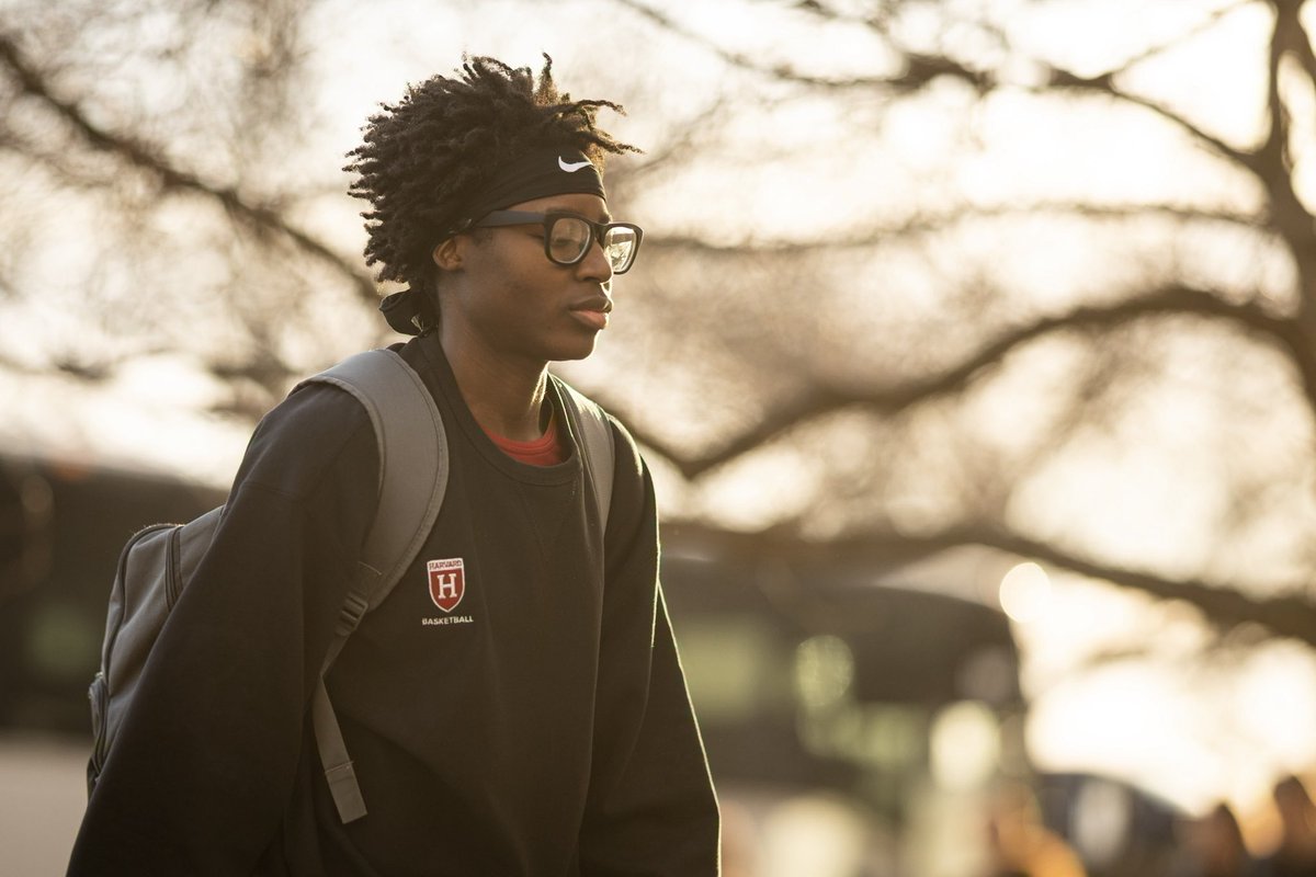 Harvard Women's Basketball tweet media