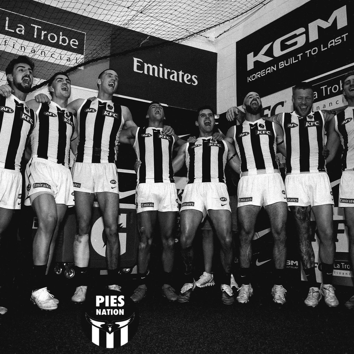 PiesNation tweet media