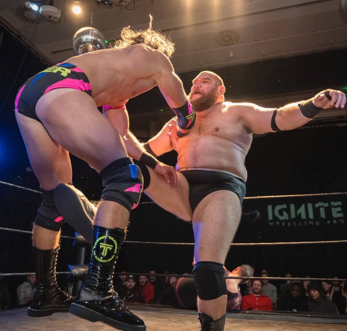 Indie Fan tweet media