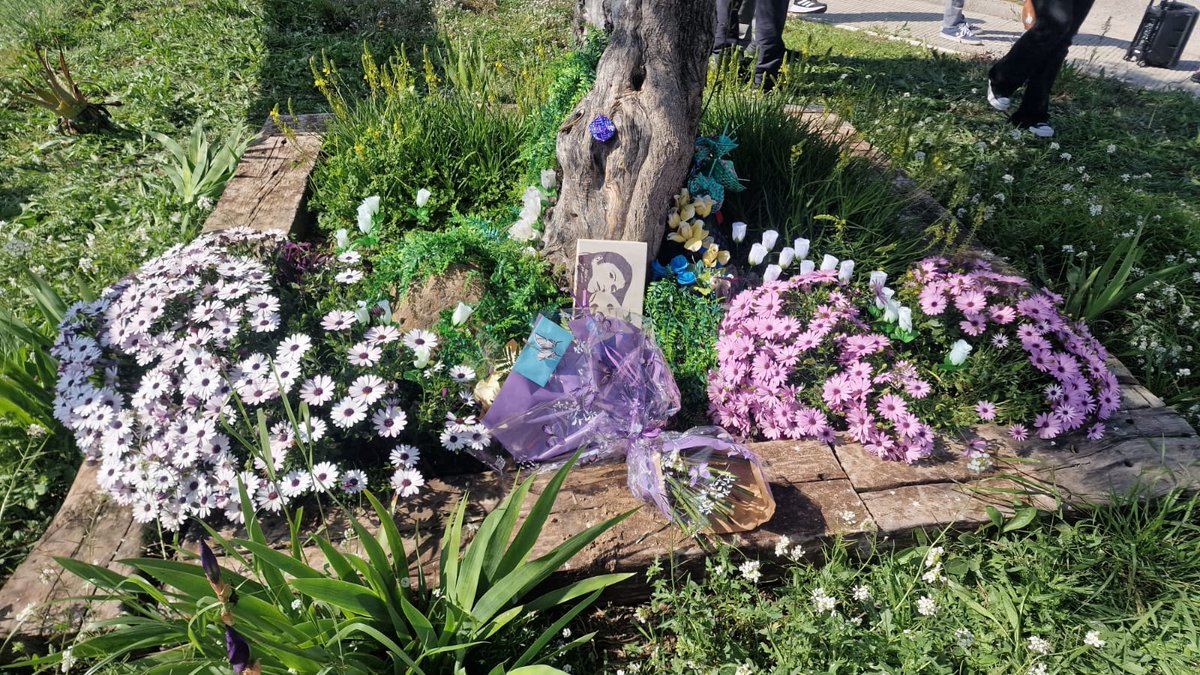 Arnau Borrร s tweet media