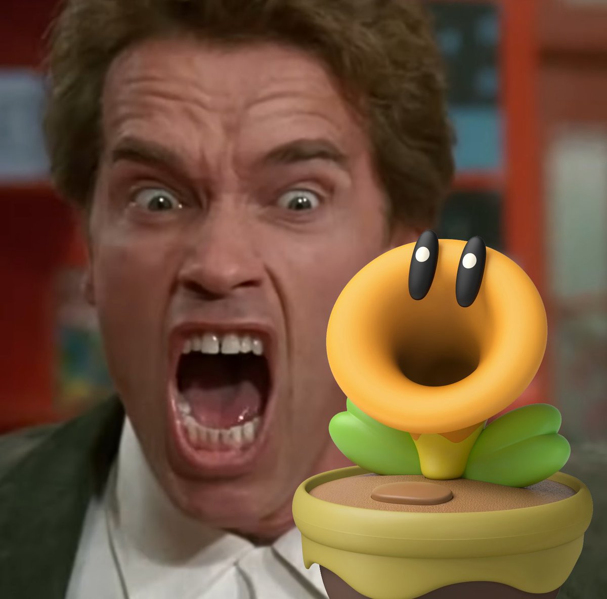 MarioMario54321 tweet media