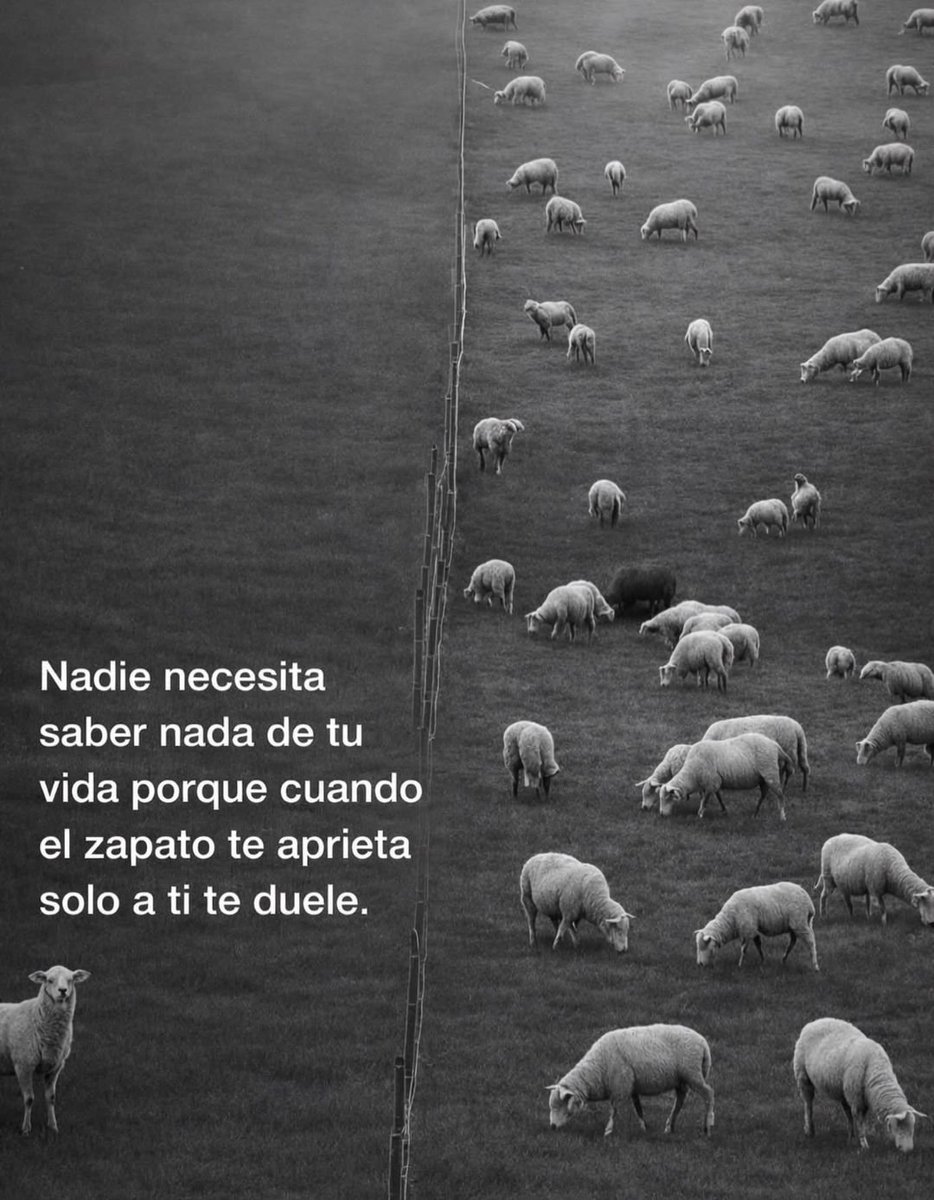 BANDIDOS (@bandidosfrasess) on Twitter photo 