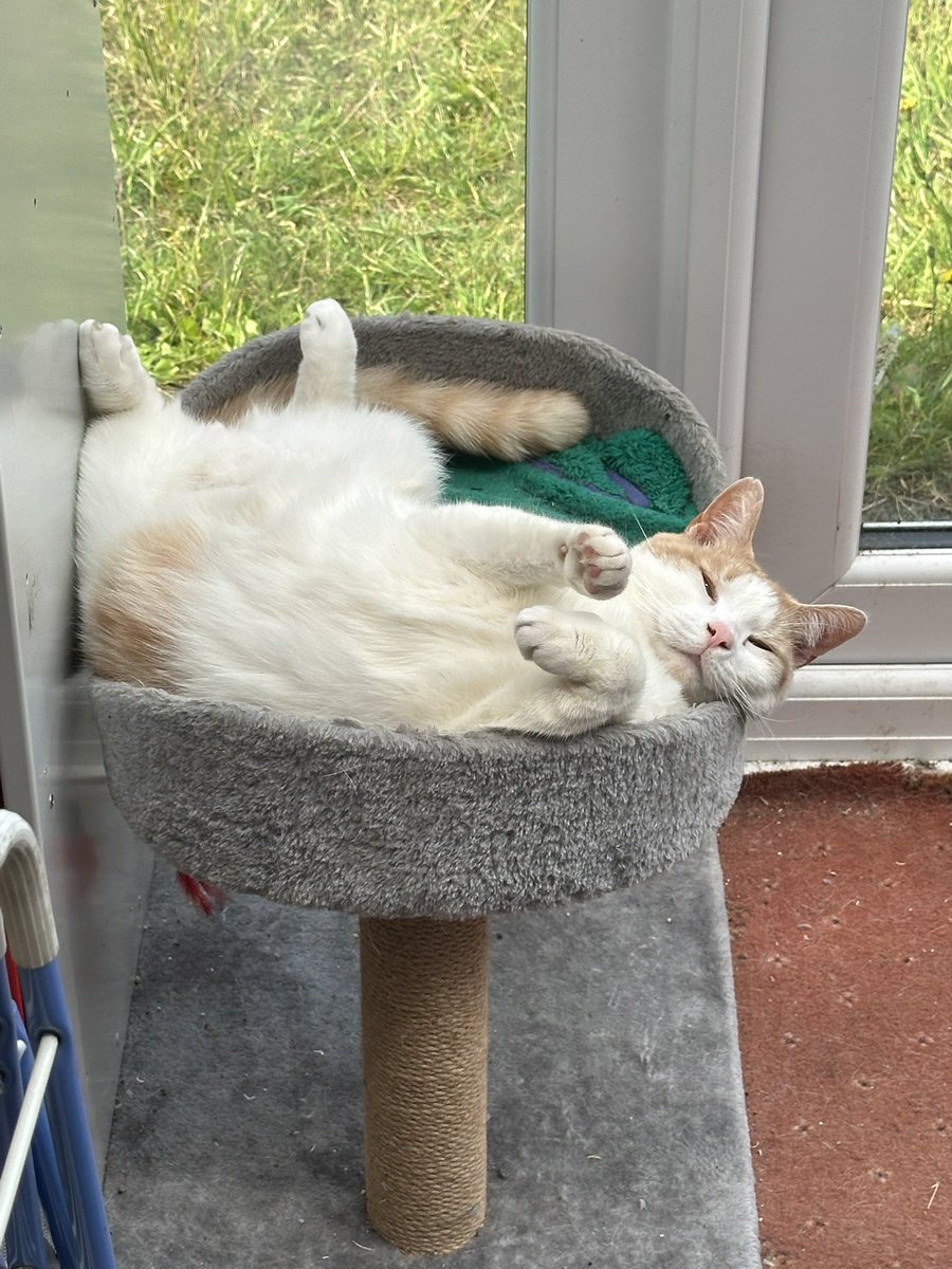 🏳️🌈TnSMUM 🏳️⚧️ 💛she/her 🇺🇦🇵🇸 tweet media