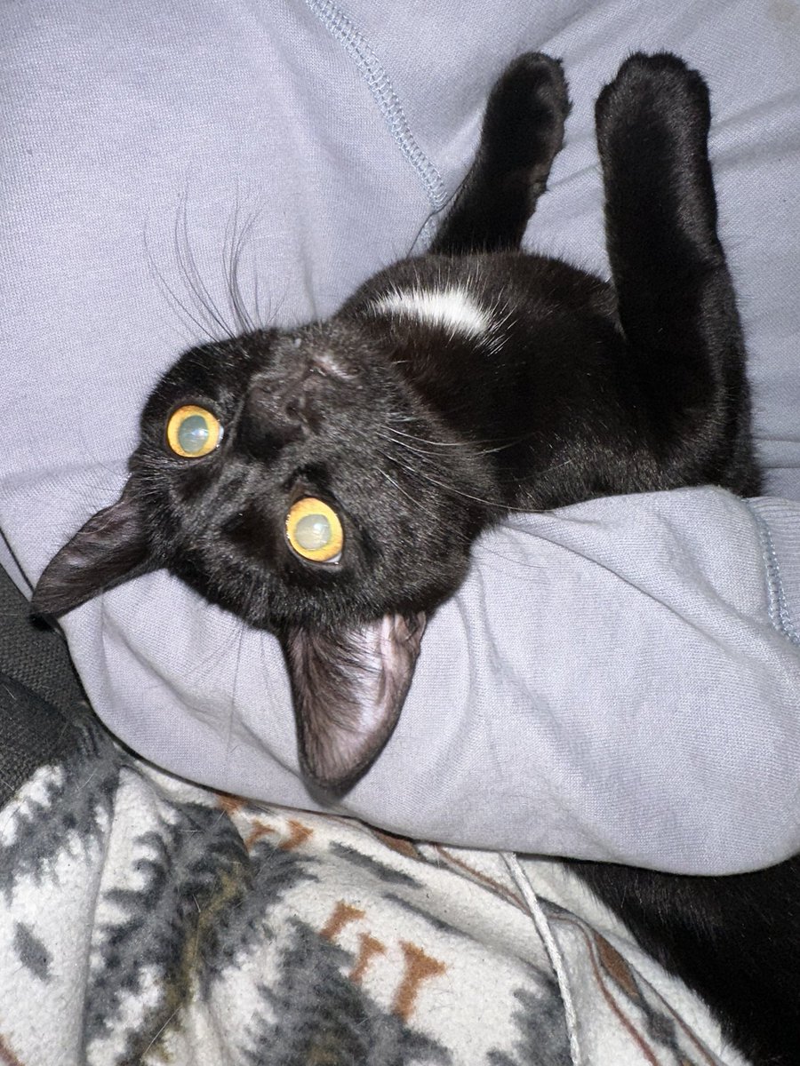 🏳️🌈TnSMUM 🏳️⚧️ 💛she/her 🇺🇦🇵🇸 tweet media