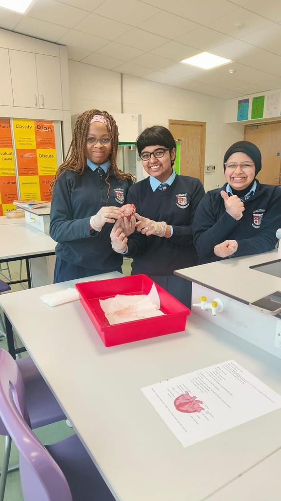 Crescent College Comprehensive SJ tweet media