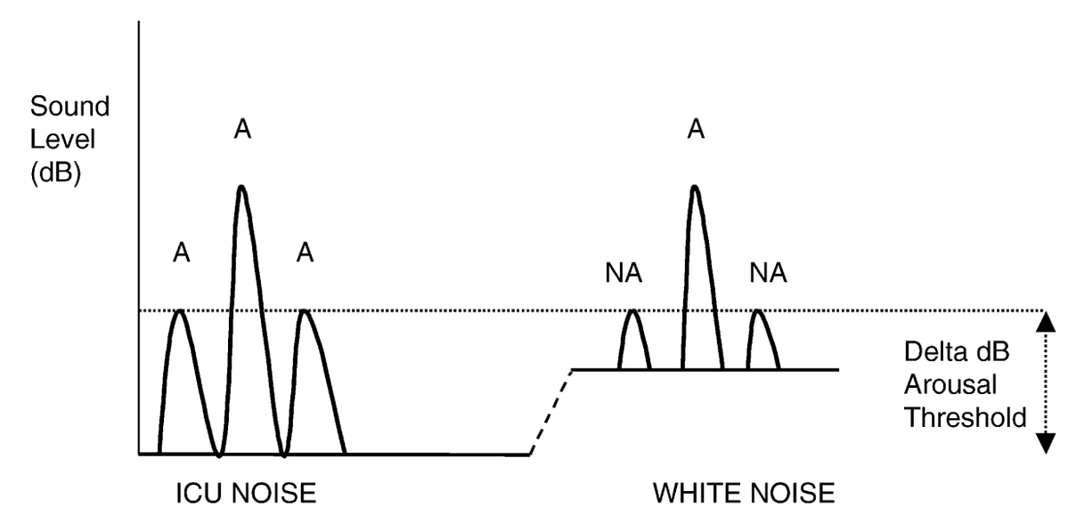 Brandon Luu, MD tweet media