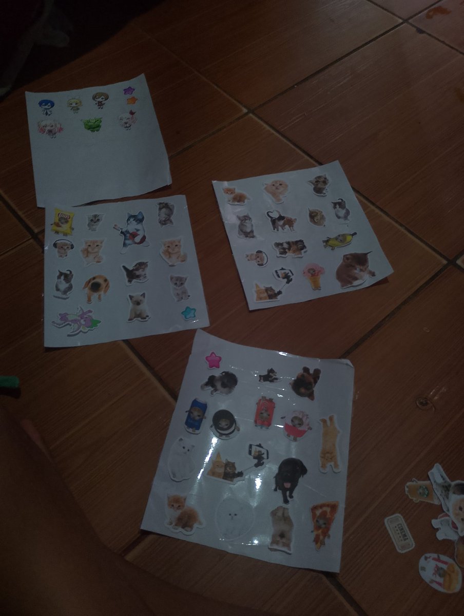 DASH⚡COMMS OPEN! tweet media