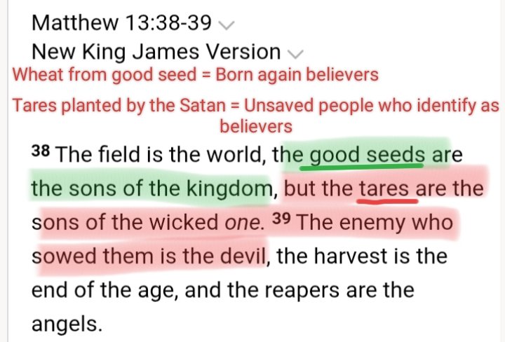 A Believer tweet media