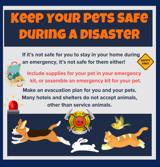 North County Fire Authority tweet media