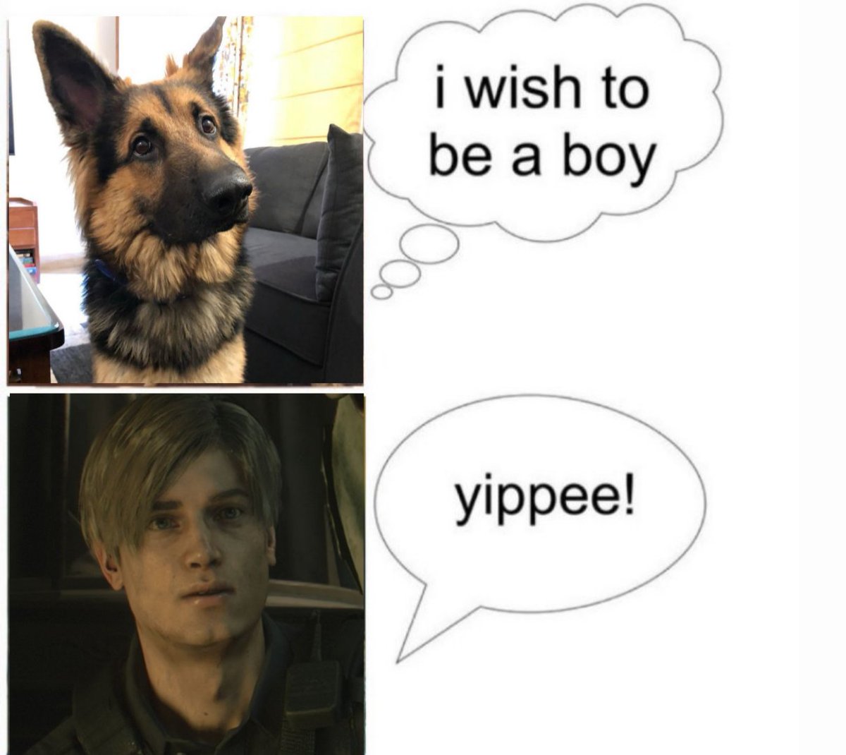 bea 🦭 tweet media