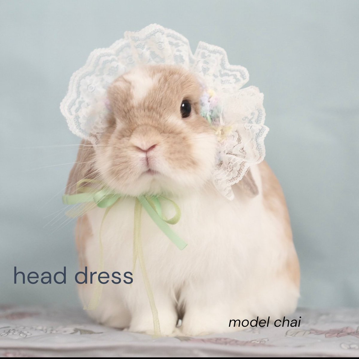 ひのきや Hinokiya♡何でも手編み tweet media