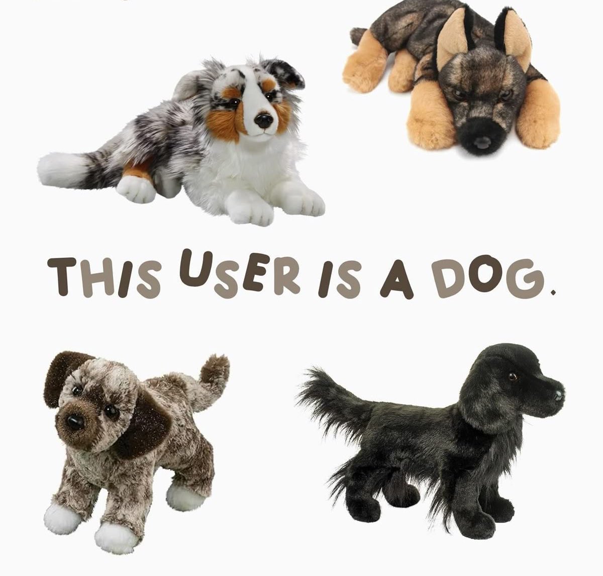 𐂯 your mutt 𐂯 tweet media