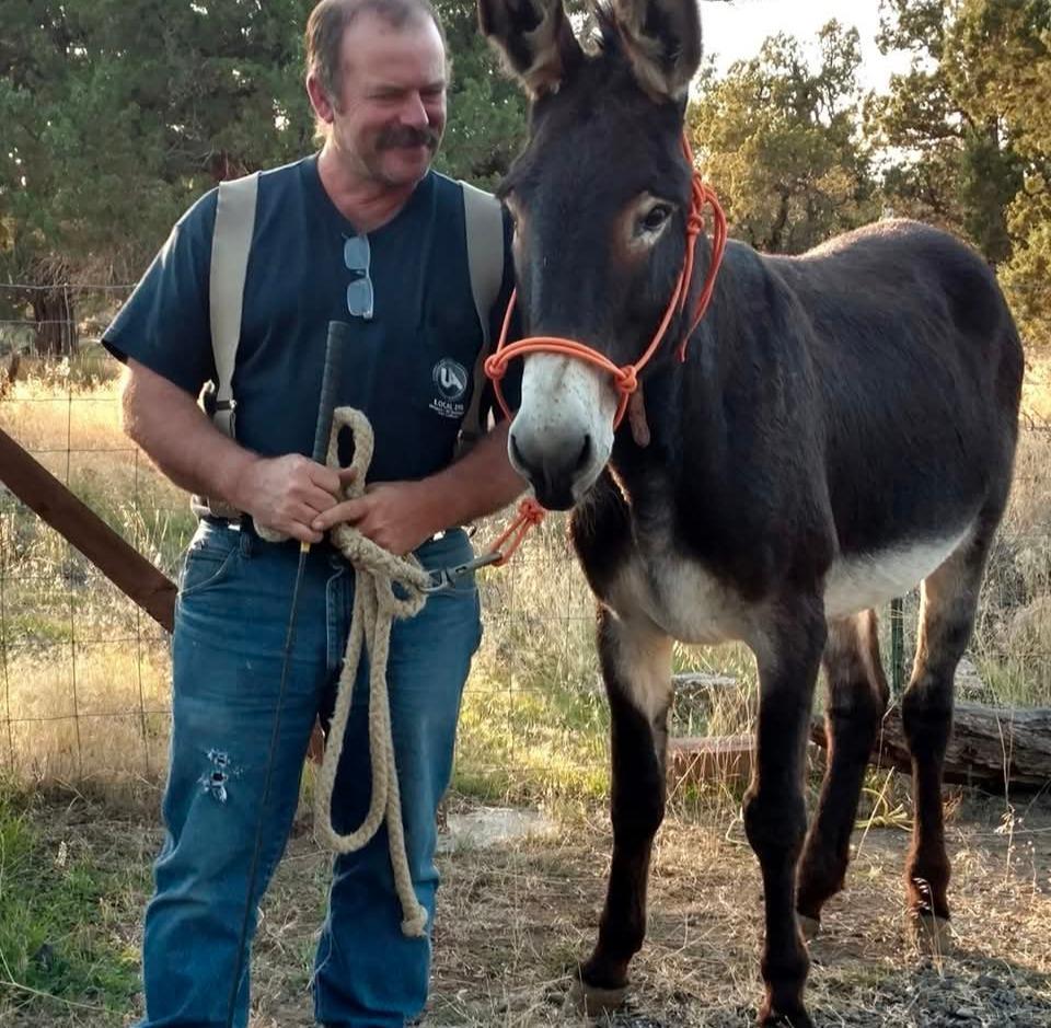 Hannah Zchokkei tweet media