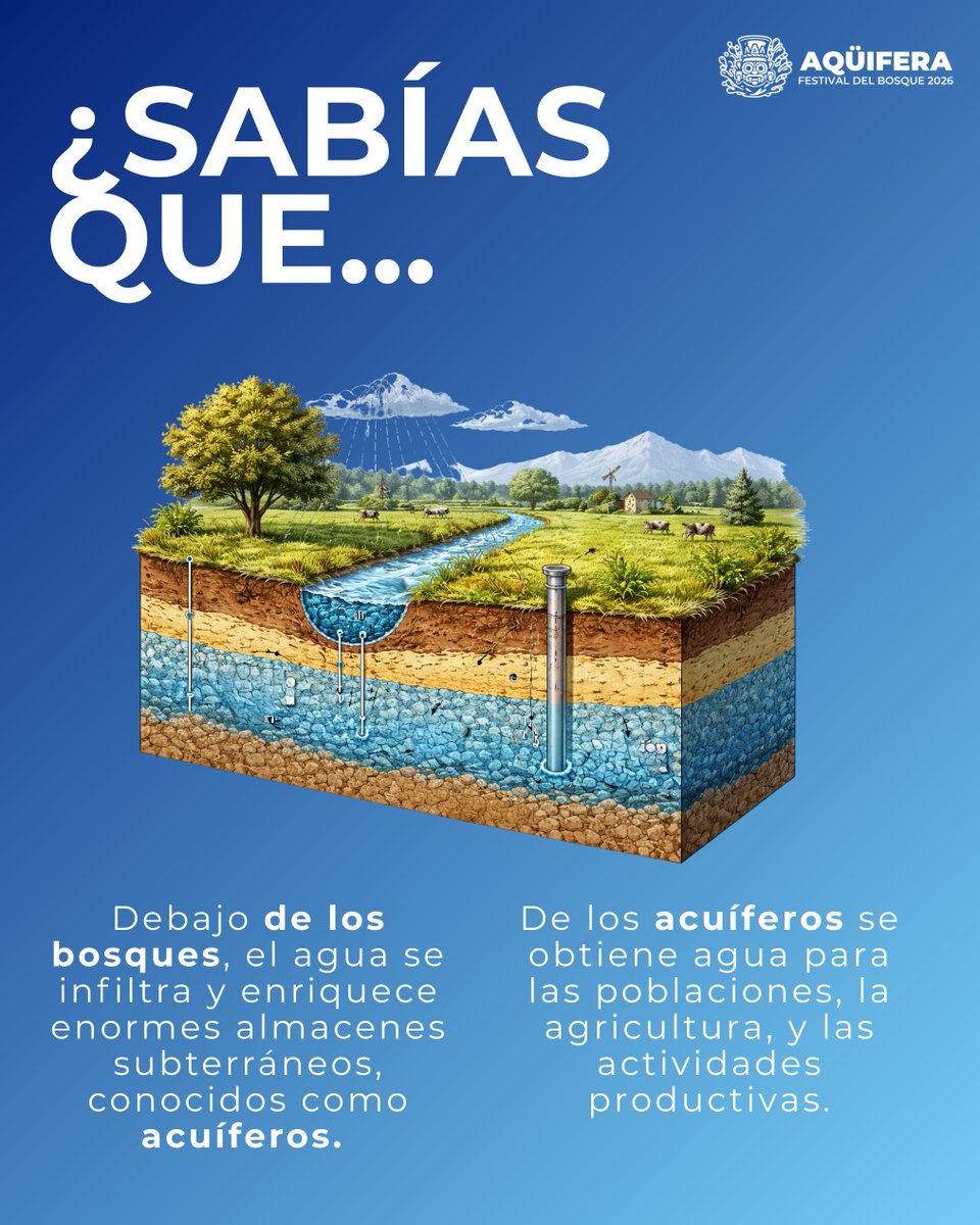 Aqüifera: Festival del Bosque tweet media