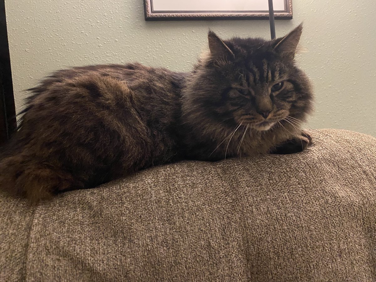 Buttonwillow23 tweet media