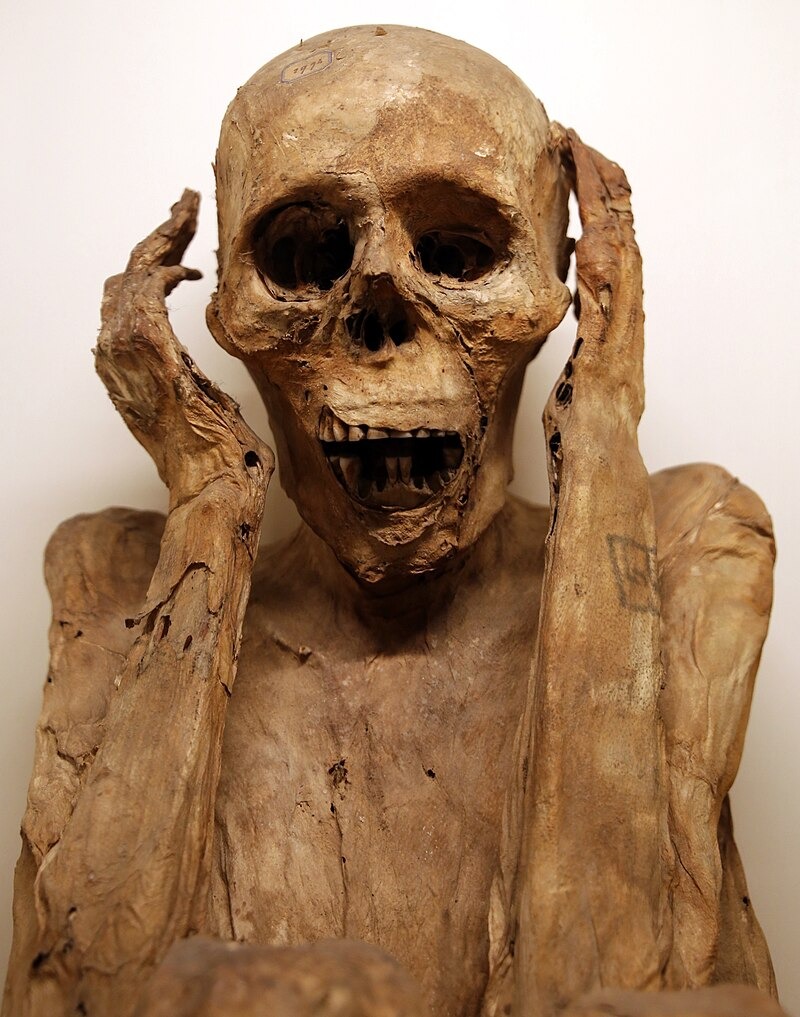 Ramandhyka Dwipa tweet media