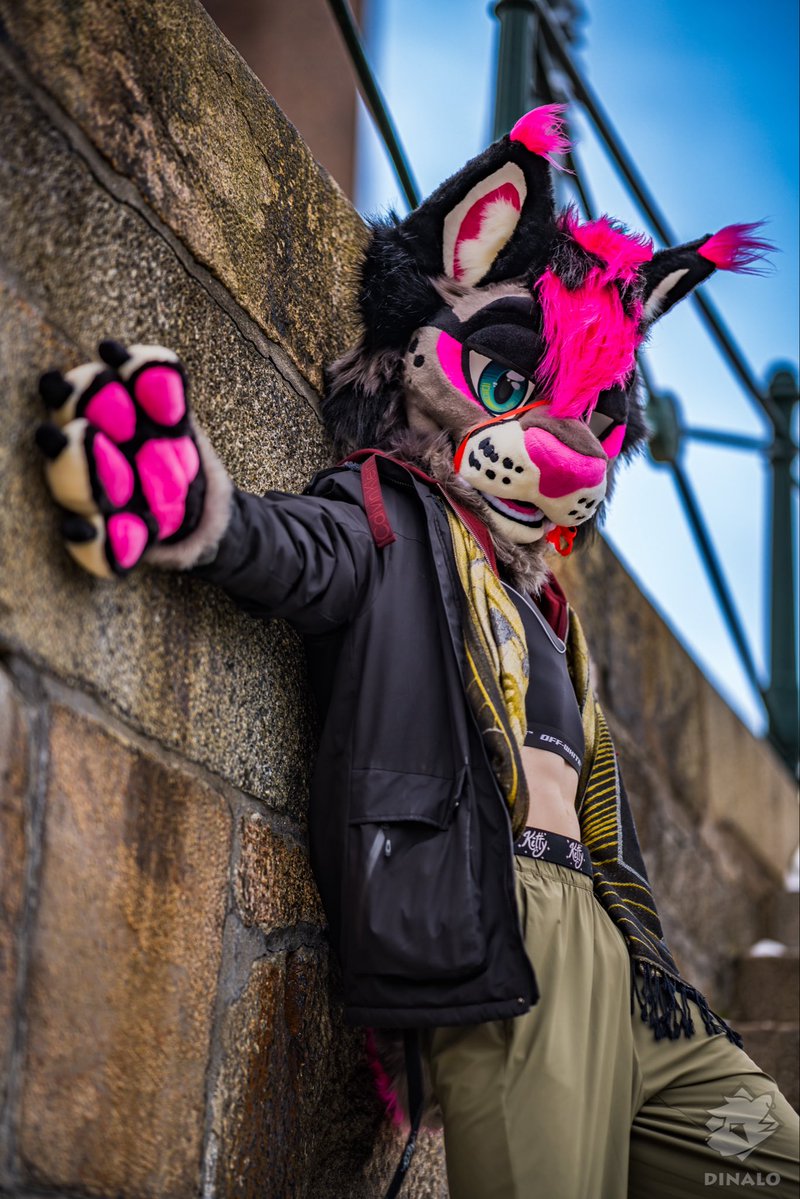 Tetch 🔜 FWA tweet media