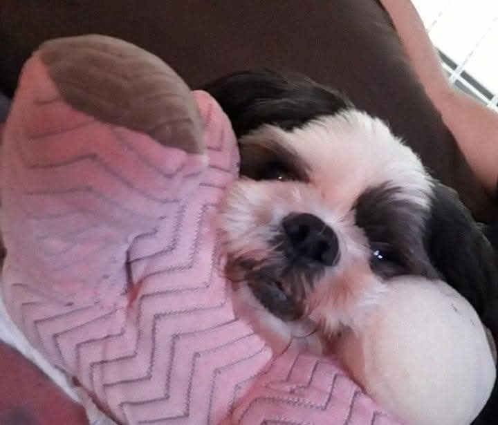 Maribel G tweet media